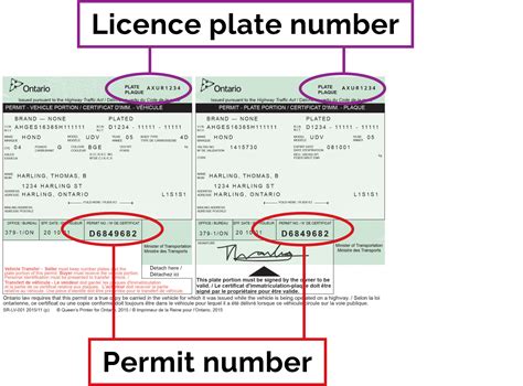 ontario irp renewal.